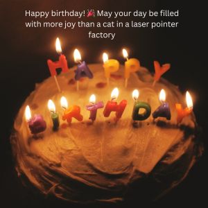 Funny Quotes About Birthday Wishes